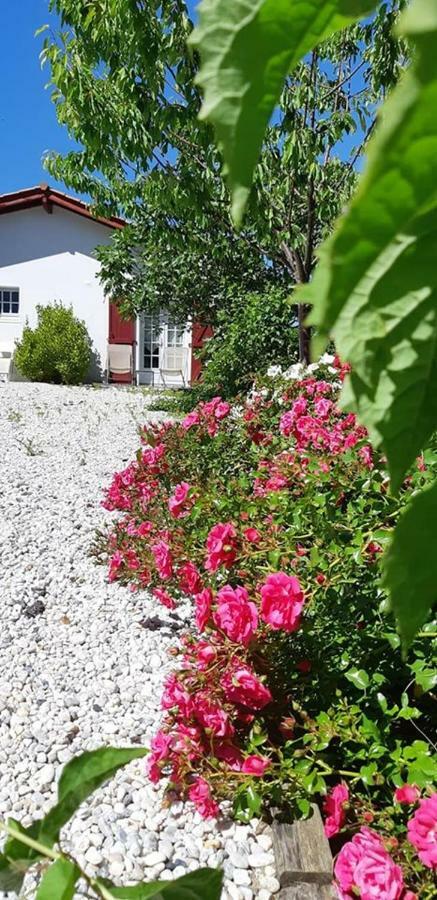 Hotel & Spa Harretchea, Cote Basque Ahetze Dış mekan fotoğraf